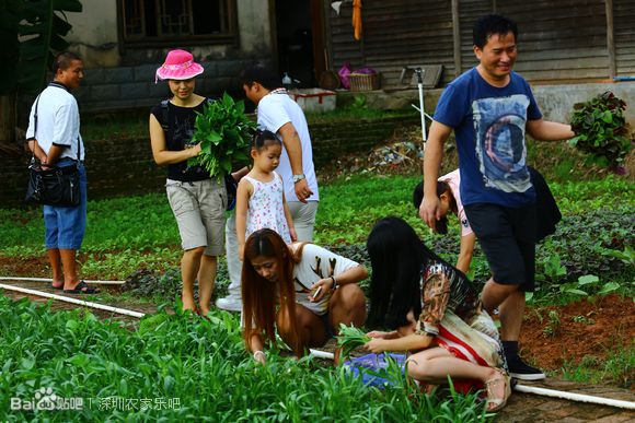 1a199f003af33a87943bd516cf5c10385343b50d.jpg 1a199f003af33a87943bd516cf5c10385343b50d.jpg